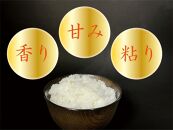 【令和7年産】【定期便&nbsp;南魚沼産】コシヒカリ&nbsp;白米5kg×12回