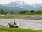 【令和7年産】【定期便&nbsp;南魚沼産】コシヒカリ&nbsp;白米5kg×12回