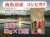 【令和7年産】【定期便&nbsp;南魚沼産】コシヒカリ&nbsp;白米5kg×12回