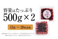 訳あり しそ漬梅 皮切れ1kg 500×2パックセット 紀州南高梅 産地直送　