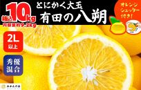 八朔 (はっさく) とにかく 大玉 どっこいしょ 箱込 10kg (内容量約 9.2kg) 秀品 優品 混合 2Lサイズ以上 和歌山県産  産地直送【おまけ付き】【みかんの会】