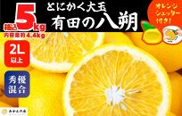 八朔 (はっさく) とにかく 大玉 どっこいしょ 箱込 5kg (内容量約 4.4kg) 秀品 優品 混合 2Lサイズ以上 和歌山県産  産地直送【おまけ付き】【みかんの会】