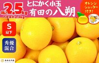 八朔 (はっさく) とにかく 小玉 箱込 2.5kg(内容量約 2.3kg) 秀品 優品 混合 Sサイズ以下 和歌山県産  産地直送【おまけ付き】【みかんの会】