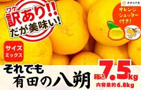 八朔 訳あり それでも 有田の八朔  (はっさく) 箱込 7.5kg (内容量約 6.8kg) サイズミックス B品 和歌山県産  産地直送【おまけ付き】【みかんの会】