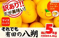 八朔 訳あり それでも 有田の八朔  (はっさく) 箱込 5kg (内容量約 4.4kg) サイズミックス B品 和歌山県産  産地直送【おまけ付き】【みかんの会】