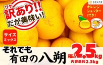 八朔 訳あり それでも 有田の八朔  (はっさく) 箱込 2.5kg (内容量約 2.3kg) サイズミックス B品 和歌山県産  産地直送【おまけ付き】【みかんの会】