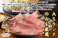 【近江牛A5ランク】しゃぶしゃぶ 上ロース（300g）2~3人前