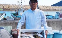 小豆島から直送！朝獲れ鮮魚 旬の地魚詰め合わせ 2.5kg以上