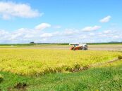 【令和5年度産】農薬・化学肥料節減米ひとめぼれ 精米30kg