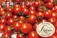 【2024年1月発送】フルーツトマト「fruino ふるーの」1箱（4パック）