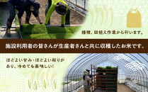 ふくしえんのおこめ（ななつぼし）10kg&nbsp;【&nbsp;特A&nbsp;白米&nbsp;精米&nbsp;ご飯&nbsp;ごはん&nbsp;米&nbsp;お米&nbsp;ななつぼし&nbsp;旭川市ふるさと納税&nbsp;北海道ふるさと納税&nbsp;旭川市&nbsp;北海道&nbsp;】_01889