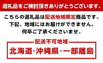 ＜4月より発送＞厳選 甘夏柑6.5kg+195g（傷み補償分）【初夏のみかん・旬の果物】【有田産】【光センサー食べ頃出荷】＜2024年4月より発送＞