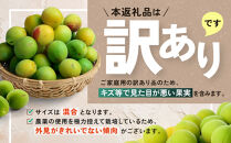 家庭用&nbsp;紀州南高梅(青梅)5kg+250g（傷み補償分）【梅干し・梅ジュース】【訳あり】［IKE113］