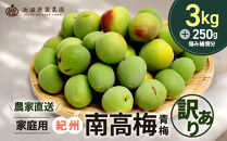 家庭用&nbsp;紀州南高梅(青梅)3kg+250g（傷み補償分）【梅干し・梅ジュース】【訳あり】［IKE112］