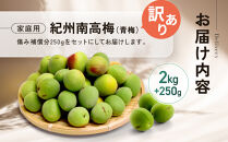 家庭用&nbsp;紀州南高梅(青梅)2kg+250g（傷み補償分）【梅干し・梅酒・梅ジュース】【訳あり】［IKE111］