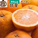 家庭用甘夏柑10kg+300g（傷み補償分）【初夏のみかん・旬の果物】【有田産】【光センサー食べ頃出荷】【わけあり・訳あり】＜2024年6月発送＞