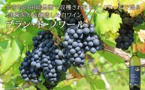 【葡萄作りの匠 田崎正伸】北海道ワイン 2種 飲み比べセット【ポイント交換専用】
