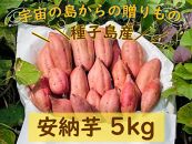N155 種子島産安納芋のお得セットC（安納芋5kg＋冷凍焼き芋1個入り×15袋）