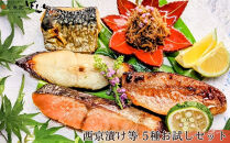 【京の魚匠&nbsp;ぼんち】手作り西京漬け等〈お試しセット〉5種詰め合わせ&nbsp;［&nbsp;京都&nbsp;西京漬け&nbsp;西京焼き&nbsp;減塩&nbsp;無添加&nbsp;魚&nbsp;簡単&nbsp;便利&nbsp;人気&nbsp;おすすめ&nbsp;お取り寄せ&nbsp;通販&nbsp;送料無料&nbsp;ふるさと納税&nbsp;］