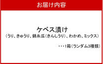 【10月から発送予定】西の関の酒粕で作ったこだわりの奈良漬け「季節のケベス漬け」1箱ランダム3種セット（計510g）_2106R