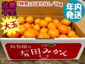 年内発送 完熟早生 有田みかん 大玉 特秀 2L または L サイズ 5kg 和歌山 南泰園