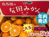 年内発送 ちょっと 傷あり 完熟早生 有田みかん 大玉 2L または L サイズ 5kg 和歌山 南泰園