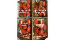 紀州和歌山ブランドいちご「まりひめ」約250g×4P&nbsp;［2027年3月上旬頃～3月下旬頃に順次発送］［UT39］