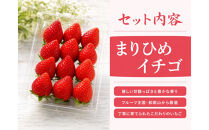 紀州和歌山ブランドいちご「まりひめ」約280g×2P［2027年1月上旬頃から2027年2月下旬頃に順次発送］［UT38］