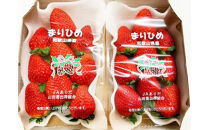 紀州和歌山ブランドいちご「まりひめ」約280g×2P［2027年1月上旬頃から2027年2月下旬頃に順次発送］［UT38］