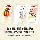 官製年賀はがき　年賀状パック　金箔柄　3パックセット