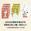 官製年賀はがき　年賀状パック　スヌーピー柄　3パックセット