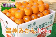 温州みかん 香川産 約10kg ( S ～ Lサイズ ) ｜ みかん 味濃い