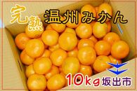 温州みかん 香川産 約10kg ( S ～ Lサイズ ) ｜ みかん 味濃い