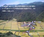 魚沼産コシヒカリ　苗場プリンセス　特別栽培米　農薬化学肥料５割減　精米（5ｋｇ）×1