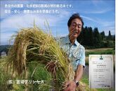 魚沼産コシヒカリ　苗場プリンセス　特別栽培米　農薬化学肥料５割減　精米（10ｋｇ）　5ｋｇ×2