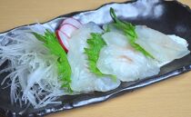 (塩＆炙り片身)【紀州漁彩】旨味をぎゅっと濃縮した塩熟真鯛＆炙りセット（片身）