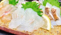 【紀州漁彩】旨味をぎゅっと濃縮した塩熟真鯛・炙り・漬け　食べ比べセット（1食個包装）×4食ずつ