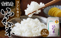 令和7年産 新米 金沢いやさか米 コシヒカリ（玄米）30kg 金沢市 加賀百万石 コシヒカリ 玄米 北陸産米 自然栽培 石川県産米 新米 令和米 食味良好 人気 おすすめ 白米 玄米 和食 米農家 ごはん お取り寄せ 通販 送料無料 ふるさと納税