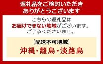 冷蔵庫 162L 冷凍冷蔵庫 アイリスオーヤマ ノンフロン冷凍冷蔵庫 IRSE-16A-CW ホワイト 冷蔵 冷凍 2ドア 新生活 スリム スタイリッシュ 162L 162リットル 右開き 家電 電化製品