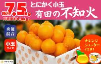 不知火 とにかく 小玉 箱込 7.5kg(内容量約 6.8kg) 秀優品混合 和歌山県産 産地直送 【みかんの会】