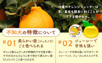 不知火&nbsp;とにかく&nbsp;小玉&nbsp;箱込10kg&nbsp;(内容量約&nbsp;9.2kg)&nbsp;&nbsp;秀優品混合&nbsp;和歌山県産&nbsp;産地直送［みかんの会］