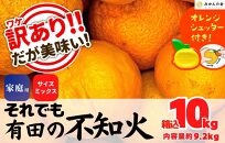 不知火 訳あり それでも 有田の不知火 箱込 10kg (内容量約 9.2kg) サイズミックス和歌山県産 産地直送 【みかんの会】