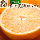 ＜4月より発送＞厳選 樹上完熟はっさく4kg+120g（傷み補償分）【八朔】【さつき・木成】