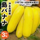 【先行予約／3kg】完全自然栽培「沖永良部島の島バナナ3キロ」（2023年7月下旬～9月中旬発送）