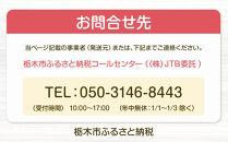 【先行予約受付】≪2026年2月発送≫【数量限定！】「完熟&nbsp;朝摘み」原宿ベリー&nbsp;&nbsp;約250g×2パック&nbsp;|&nbsp;いちご&nbsp;イチゴ&nbsp;栃木【フルーツ&nbsp;果物&nbsp;くだもの&nbsp;食品&nbsp;人気&nbsp;おすすめ&nbsp;】