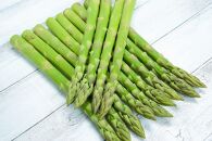 【先行予約】旭川産朝もぎ！グリーンアスパラガス2L～3Lサイズ1.0kg(2025年5月中旬発送開始予定)_01940
