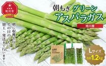 【先行予約】旭川産朝もぎ！グリーンアスパラガスLサイズ1.2kg(2025年5月中旬発送開始予定)_01941
