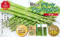 旭川産朝もぎ！グリーンアスパラガスLサイズ1.2kg(2026年5月中旬発送開始予定)_01941