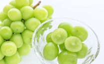 ★2026年度発送分★[新鮮・産直]和歌山県産完熟シャインマスカット約1kg ★2026年9月上旬頃より順次発送［TM182］