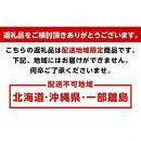 ＜4月より発送＞朝摘み 完熟 まりひめ約600g（300g前後×2トレイ）和歌山 いちご